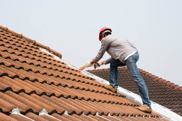 Best Roof Maintenance and Cleaning  in Roseburg, OR