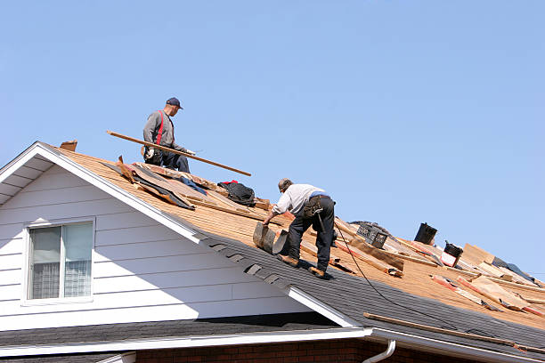 Best Cold Roofs  in Roseburg, OR
